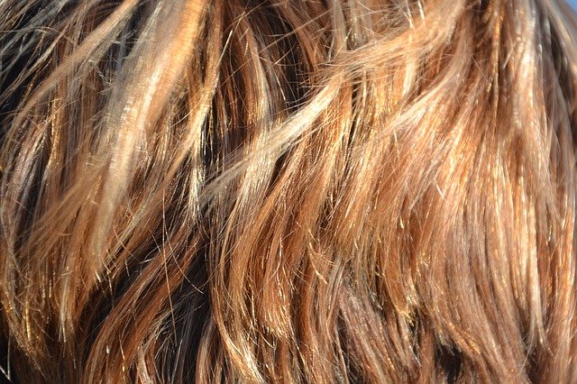 Kostenloser Download Hair Your Hair Highlights Beauty Kostenloses Bild, das mit dem kostenlosen Online-Bildeditor GIMP bearbeitet werden kann