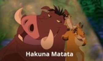 Free download Hakuna Matata 3 Kindlephoto 808637 free photo or picture to be edited with GIMP online image editor