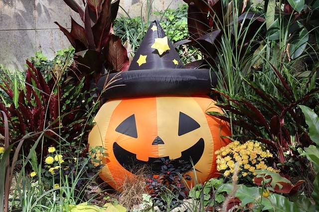 Free download Halloween Decoration Flower Bed -  free photo or picture to be edited with GIMP online image editor