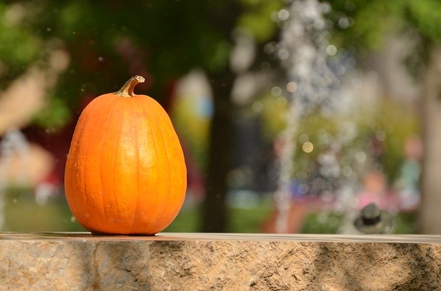 Free download Halloween Fall Autumn -  free illustration to be edited with GIMP free online image editor