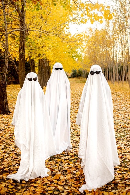Free download halloween ghost costume free picture to be edited with GIMP free online image editor
