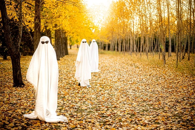 تحميل مجاني Halloween Ghost Fall Autumn صورة مجانية ليتم تحريرها باستخدام محرر الصور المجاني على الإنترنت من GIMP