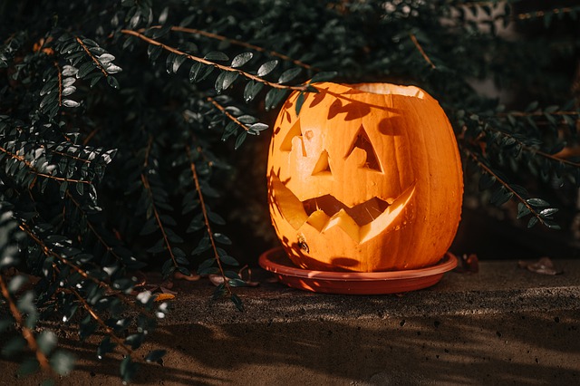 Free download halloween pumpkin decoration free picture to be edited with GIMP free online image editor