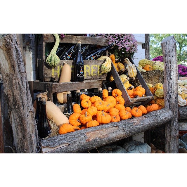Template Photo Halloween Pumpkin Fall -  for OffiDocs