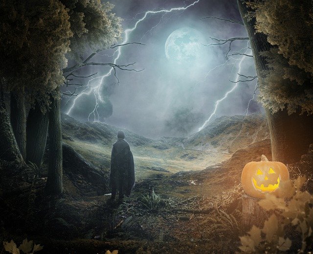 Muat turun percuma gambar percuma fantasi hutan labu halloween untuk diedit dengan editor imej dalam talian percuma GIMP