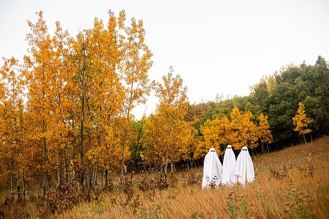 Free download halloween spooky ghost yellow free picture to be edited with GIMP free online image editor