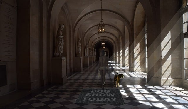 Free download hallway castle woman dog sun rays free picture to be edited with GIMP free online image editor