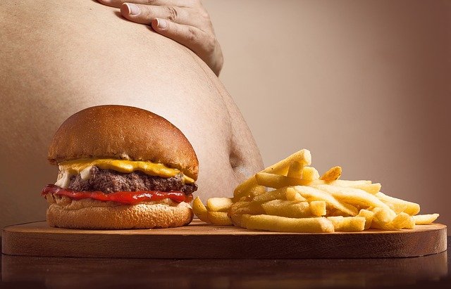 Unduh gratis hamburger p french fries belly gambar gratis untuk diedit dengan editor gambar online gratis GIMP