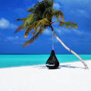 Hammock hanging on a coconut tree  screen for extension Chrome web store in OffiDocs Chromium