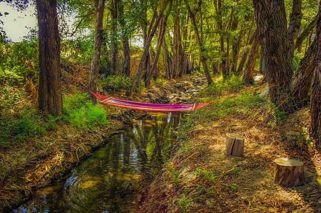 Unduh gratis Hammock Stream Woods - foto atau gambar gratis untuk diedit dengan editor gambar online GIMP