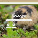 Hamster Hoang  screen for extension Chrome web store in OffiDocs Chromium