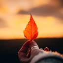 Hand and leaf  screen for extension Chrome web store in OffiDocs Chromium