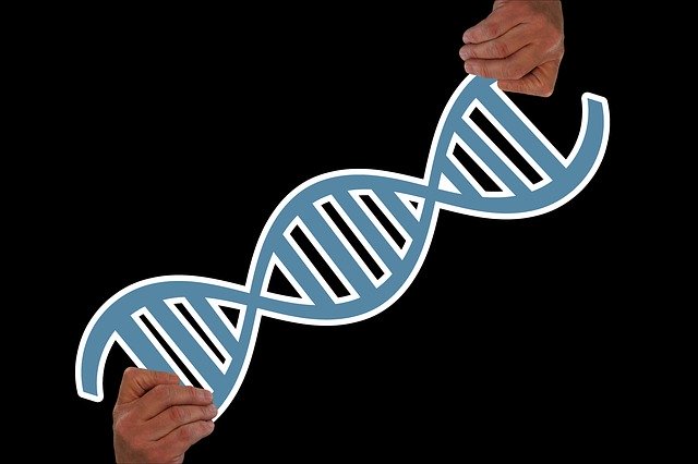 Free download Hand Keep Deoxyribonucleic Acid -  free photo or picture to be edited with GIMP online image editor