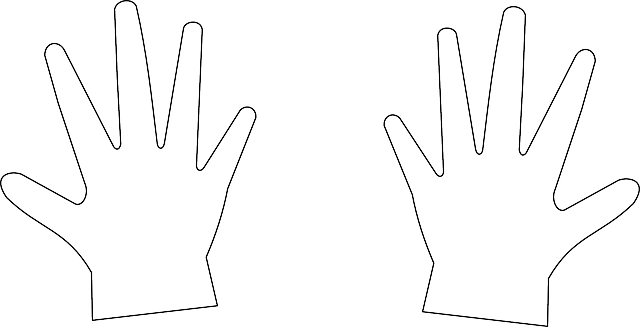 Free download Hands Chirality Symmetry - Free vector graphic on Pixabay free illustration to be edited with GIMP free online image editor