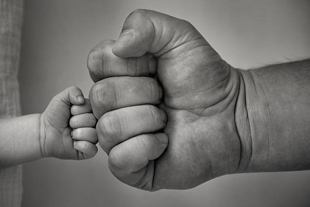 Muat turun percuma tangan penumbuk ayah dan anak gambar percuma untuk diedit dengan GIMP editor imej dalam talian percuma