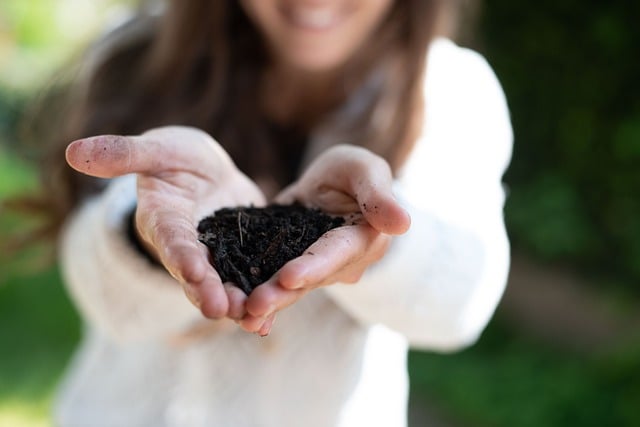 Free download hands plant care compost free picture to be edited with GIMP free online image editor