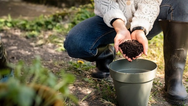 Free download hands plant maintenance compost free picture to be edited with GIMP free online image editor