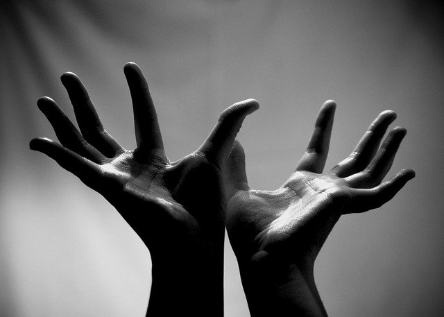 Free download hands reaching tactile free picture to be edited with GIMP free online image editor
