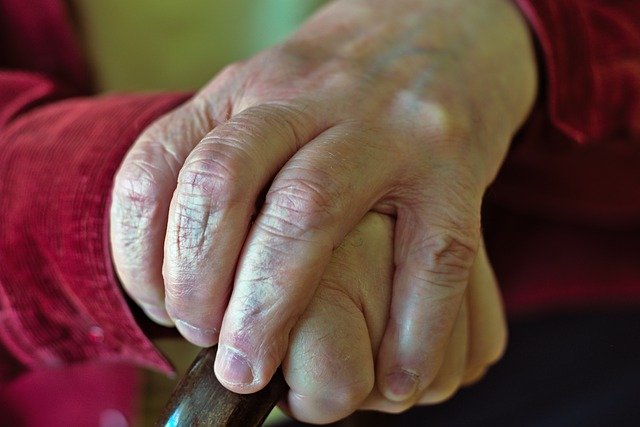 Free download hands senior old old rabbits free picture to be edited with GIMP free online image editor