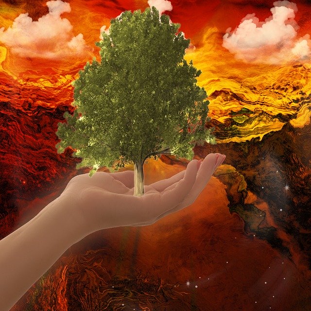 Free download Hand Tree Nature -  free illustration to be edited with GIMP free online image editor