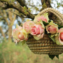 Hanging roses  screen for extension Chrome web store in OffiDocs Chromium