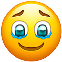 Happy End  screen for extension Chrome web store in OffiDocs Chromium