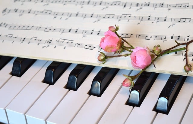Free download happy mothers day piano roses free picture to be edited with GIMP free online image editor