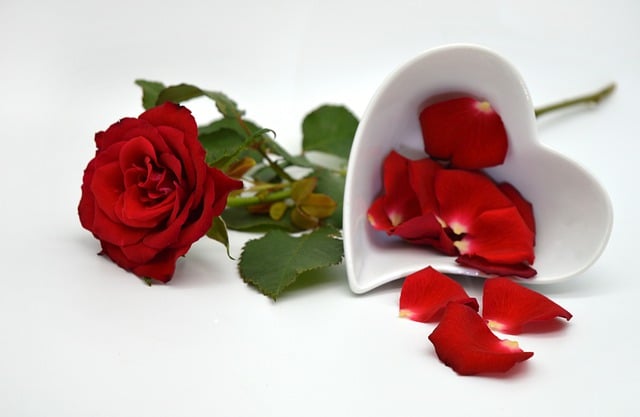 Muat turun percuma gambar percuma bunga mawar selamat hari ibu untuk diedit dengan editor imej dalam talian percuma GIMP