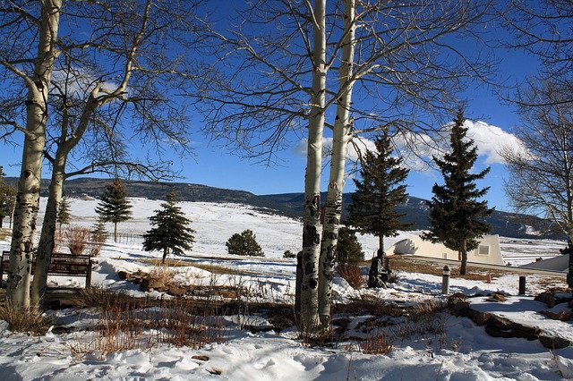 Téléchargement gratuit de Happy Thanksgiving Winter - photo ou image gratuite à éditer avec l'éditeur d'images en ligne GIMP