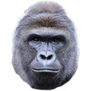Harambe Zoo  screen for extension Chrome web store in OffiDocs Chromium