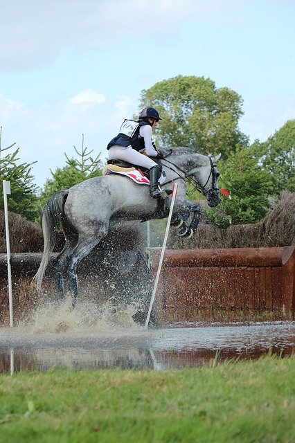 Tải xuống miễn phí Haras Du Pin National Stud - miễn phí ảnh hoặc ảnh miễn phí được chỉnh sửa bằng trình chỉnh sửa ảnh trực tuyến GIMP