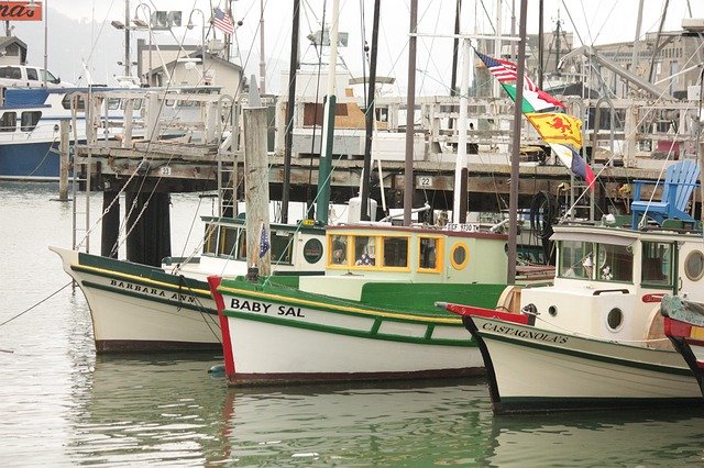 Free download Harbor Boats Port -  free photo or picture to be edited with GIMP online image editor