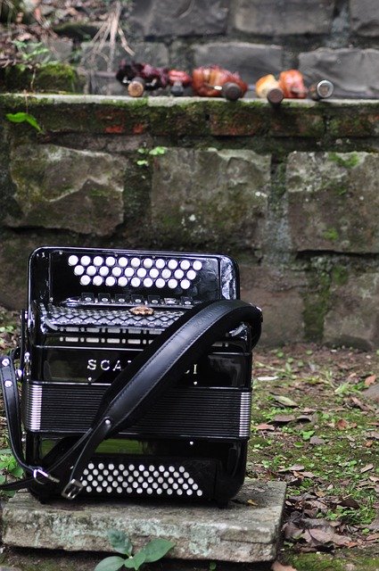 김프 온라인 이미지 편집기로 편집할 수 있는 Harmonica Gaucho 무료 사진 템플릿 무료 다운로드