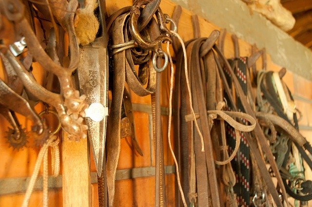Free download Harnesses Cell Ropes -  free photo or picture to be edited with GIMP online image editor