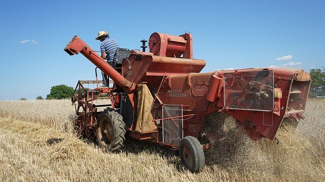 Download gratuito Harvest Agricultural Agriculture - foto o immagine gratuita da modificare con l'editor di immagini online di GIMP