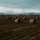 harvested pasture  screen for extension Chrome web store in OffiDocs Chromium