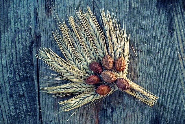 Muat turun percuma Harvest Festival The Scenery - foto atau gambar percuma untuk diedit dengan editor imej dalam talian GIMP