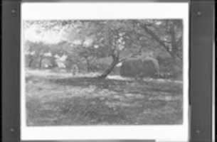 Free download Harvest Scene free photo or picture to be edited with GIMP online image editor