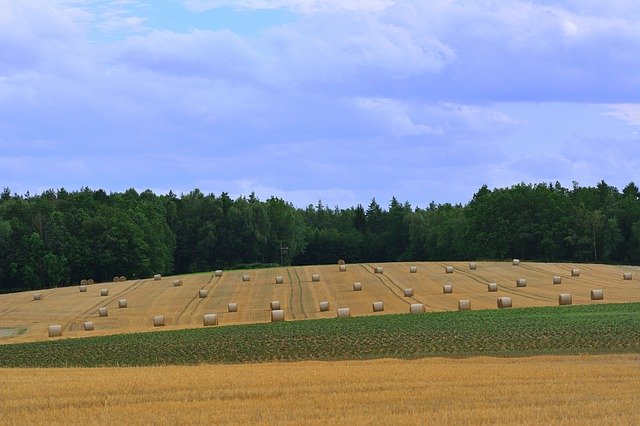 Free download Harvest Straw Bales Agriculture -  free photo or picture to be edited with GIMP online image editor