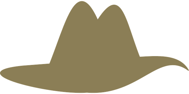 Descărcare gratuită Pălărie Cowboy Siluetă - Grafică vectorială gratuită pe Pixabay ilustrație gratuită pentru a fi editată cu editorul de imagini online gratuit GIMP