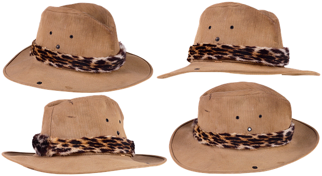 Free download Hat Fashion Style -  free free photo or picture to be edited with GIMP online image editor