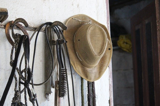 Téléchargement gratuit de Hat Horse Stable - photo ou image gratuite à modifier avec l'éditeur d'images en ligne GIMP