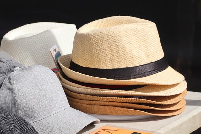 Free download hats panama hats straw hats free picture to be edited with GIMP free online image editor