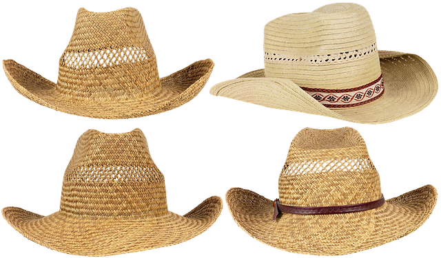 Șablon Foto Pălărie Straw Stetson Cowboy - pentru OffiDocs