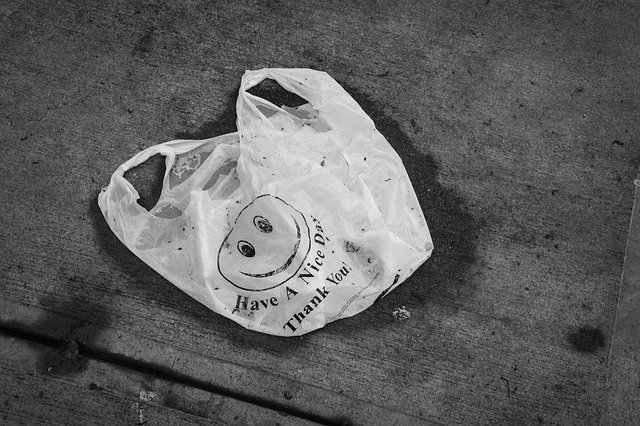 Szablon Zdjęcie Miłego dnia Plastikowa torba — dla OffiDocs