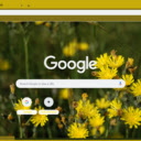 Hawkweed  screen for extension Chrome web store in OffiDocs Chromium Hawkweed  screen for extension Chrome web store in OffiDocs Chromium