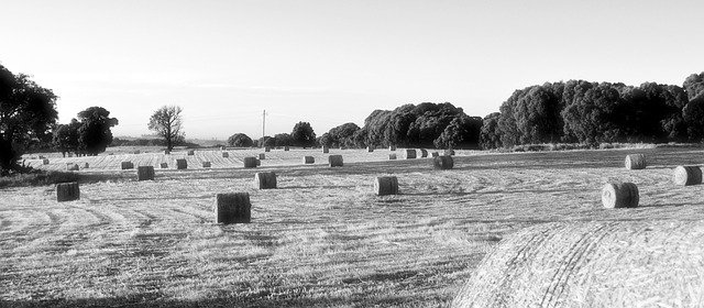 Free download Hay Bale Farm Morning -  free photo or picture to be edited with GIMP online image editor