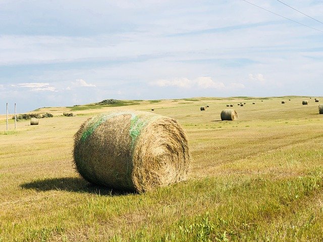 Free download Hay Bale Field -  free photo or picture to be edited with GIMP online image editor