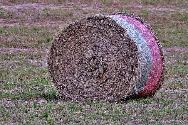 Free download Hay Bale Harvest Grass -  free photo or picture to be edited with GIMP online image editor