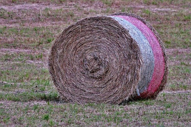 Download gratuito Hay Bale Harvest Grass: foto o immagine gratuita da modificare con l'editor di immagini online GIMP